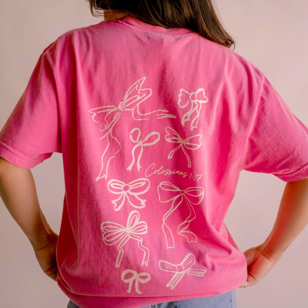 NWT - He Holds All Together Tee (pink)